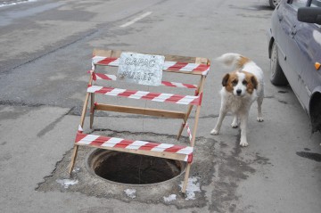 Câine căzut într-o canalizare, salvat de pompieri
